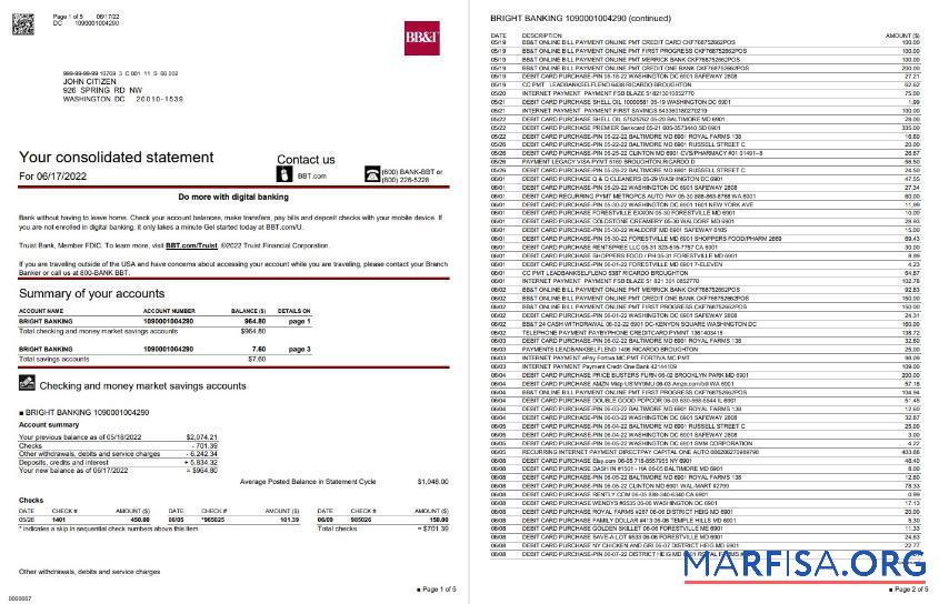 Downloadable USA Washington BB&T bank statement word 5 pages template